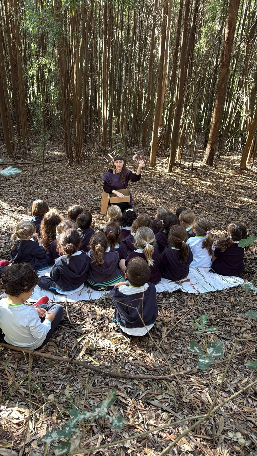 Alunos da Oceanus International School numa aula ao ar livre, na floresta